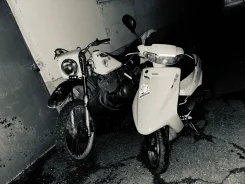 Yamaha Axis 50. 50����. ��., ��������, ��� ���, ������ �� �� ����