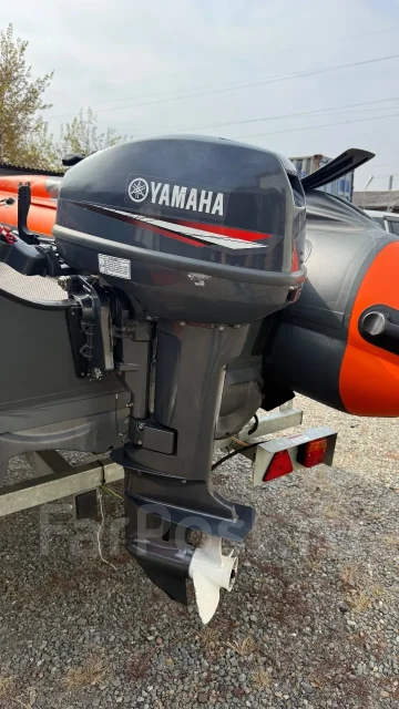 ���� � �� ����. 2025 ���, ����� 3,8��., ��������� ���������, 15��.�., ������ ����