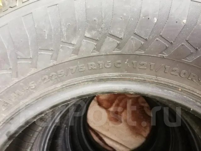Nordman C. ������, ����������, 2017 ���, �/�, ����� 40 % ����