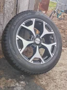 ������ ����