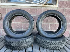 ���� Euro-519
