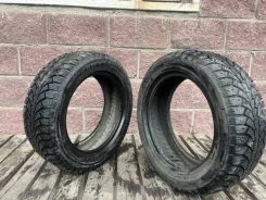 ���� Euro-519