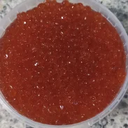���� ����. ����