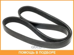 ������ ��� (CR) Dongil / 173STS29 173STS29 ����
