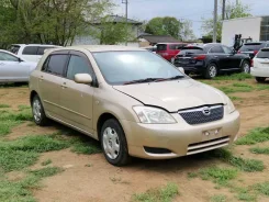 Nose cut Toyota Allex, Corolla RUNX 5211913340B0 ����
