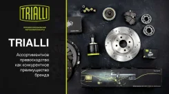 ������� ����. ��� �/� Toyota RAV 4 (94-)/(00-)/Camry (91-)/(96-) �������. 228x42 | ��� | Trialli GF 4556 GF4556 ����