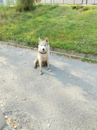 �����. ����