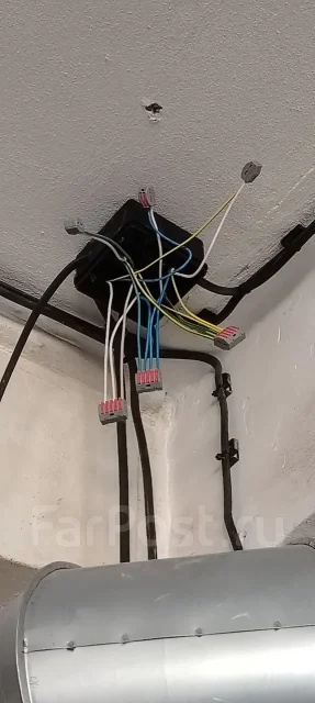 ���������������� ������. ����
