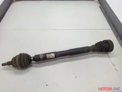 ������� (��������� ���, ����) Audi A3 (8L) 1996-2003 21481602, ������ �������� 1J0407272AC ����