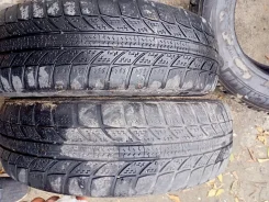 GT Radial Champiro WinterPro. ������, ��� �����, �/�, ����� 60 % ����
