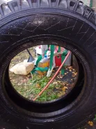 ���� �-2. ������, ��� �����, �/�, ����� �� 5 % ����