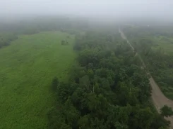 ���� � ������ ��������� �������. �� �������� ���� (�����������). ���� ������� ����