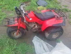 Honda ATC 125. 125����. ��., ��������, ���������, ������ �� �� ����