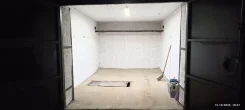 ������ �����������. ����