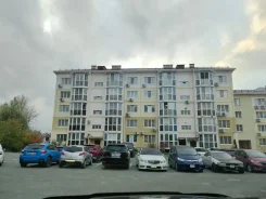 1-���������, ����� ������ 7. ���������, 37���.��., 2/6 ����, ������������ ������. ��� ������� ����