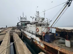 Yanmar. 1991 ���, ����� 21��., ��������� ������������, 720��.�., ������ ����