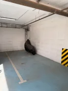 ����� �����������. ����� ������������ 39, �-� �������, �������������. ��� ������ ����