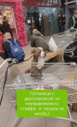 ��������. ����
