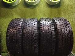 Toyo Winter Tranpath S1