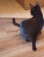 �����. ����