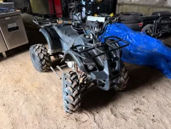 Grizzly 125. ��������, ��� ���\���, �� ����