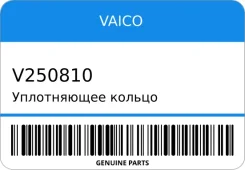 ����������� ������ Vaico V250810 V250810 ����