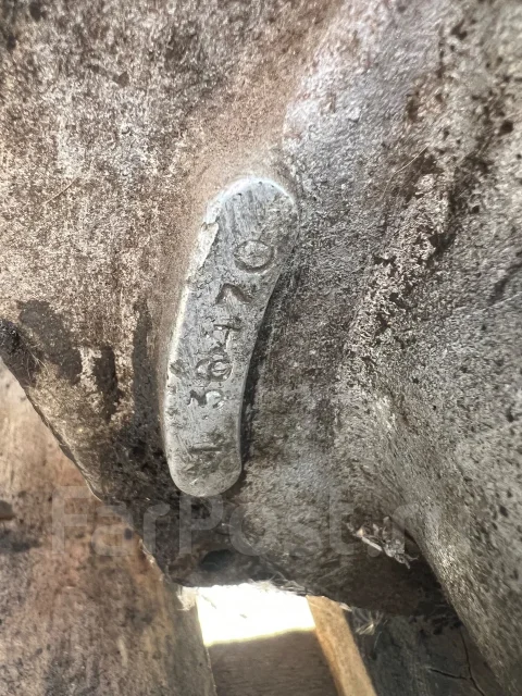 �� 49 ����