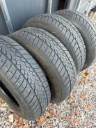 Triangle WinterX TW401. ������, ��� �����, 2024 ���, �/�, ����� 5 % ����