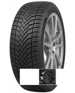 Delinte AW6