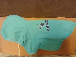 �����. ����