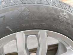 Continental. ������, ��� �����, 2020 ���, �/�, ����� 30 % ����