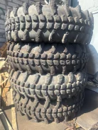 Lakesea Alligator. �����������, 2023 ���, �/�, ����� 5 % ����