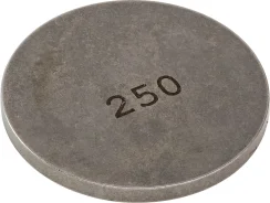 ����� ��������� ������� Suzuki (2.500) ����