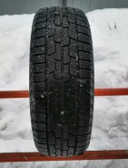 Firestone Winterhawk 2V EVO