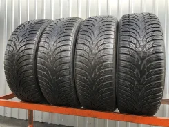 Nokian WR D3