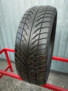 Goodyear UltraGrip Performance 2