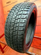 Bridgestone Blizzak DM-V1