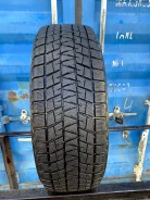 Bridgestone Blizzak DM-V1