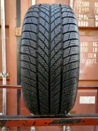 Gislaved Euro Frost 5
