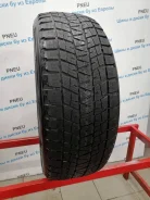 Bridgestone Blizzak DM-V1