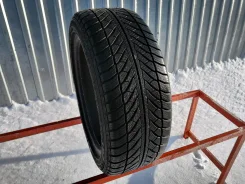 Goodyear UltraGrip Performance 2