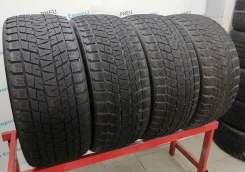 Bridgestone Blizzak DM-V1