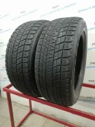 Bridgestone Blizzak DM-V1