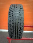 Dunlop Graspic DS2