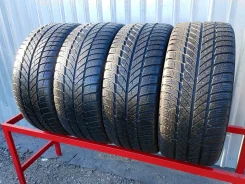 Gislaved Euro Frost 5