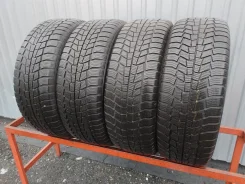 Gislaved Euro Frost 6