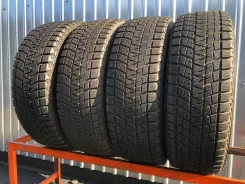 Bridgestone Blizzak DM-V1