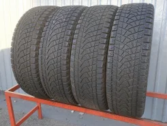 Bridgestone Blizzak DM-Z3
