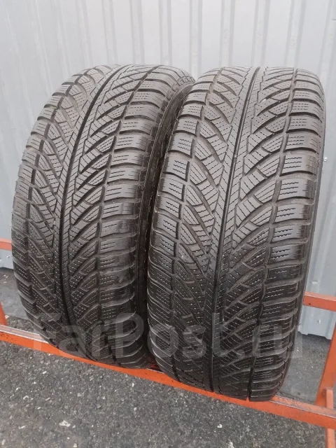 Goodyear UltraGrip Performance 2
