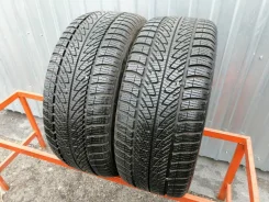 Goodyear UltraGrip 8 Performance